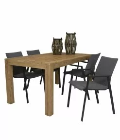 Tuinkussens Verkoopwinkel -Tuinkussens Verkoopwinkel Tafel Alberto teak 160 TWF 6767 160 met stoel Fubar dining 1819 C RG 3